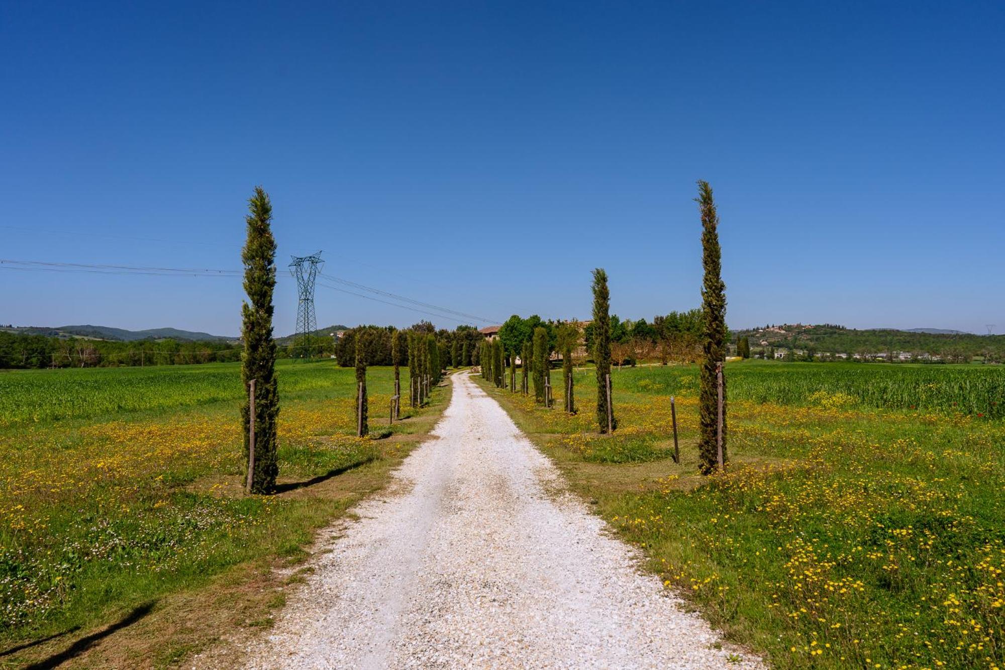 Villa Le Beringhe - Wine Pool & Relax Колле-ди-Валь-д'Эльса Экстерьер фото